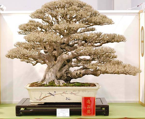 DSC_2937.jpg DSC_2937.jpg