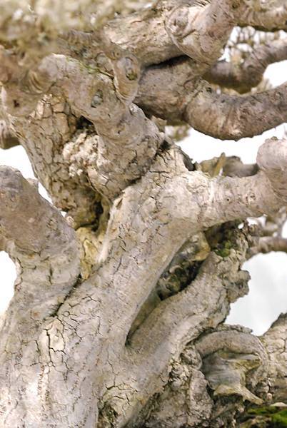 DSC_2939.jpg DSC_2939.jpg