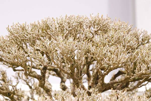 DSC_2940.jpg DSC_2940.jpg