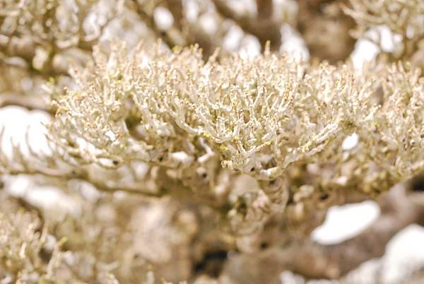 DSC_2942.jpg DSC_2942.jpg