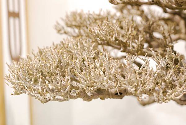 DSC_2941.jpg DSC_2941.jpg