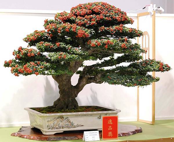 DSC_2944.jpg DSC_2944.jpg