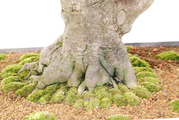 DSC_2946.jpg DSC_2946.jpg