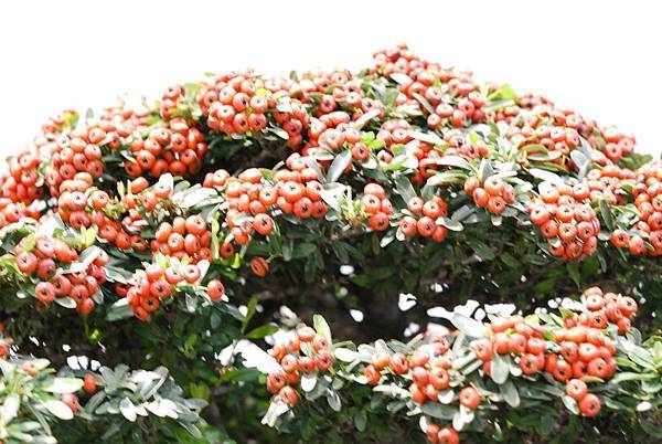 DSC_2948.jpg DSC_2948.jpg