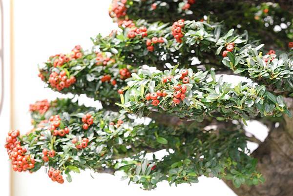 DSC_2949.jpg DSC_2949.jpg