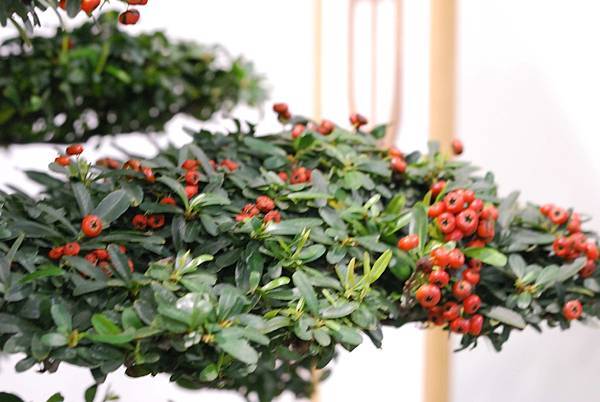 DSC_2950.jpg DSC_2950.jpg