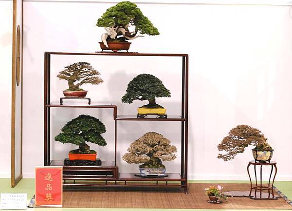 DSC_2954.jpg DSC_2954.jpg