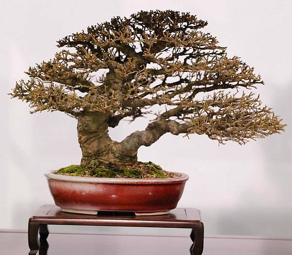 DSC_2956.jpg DSC_2956.jpg