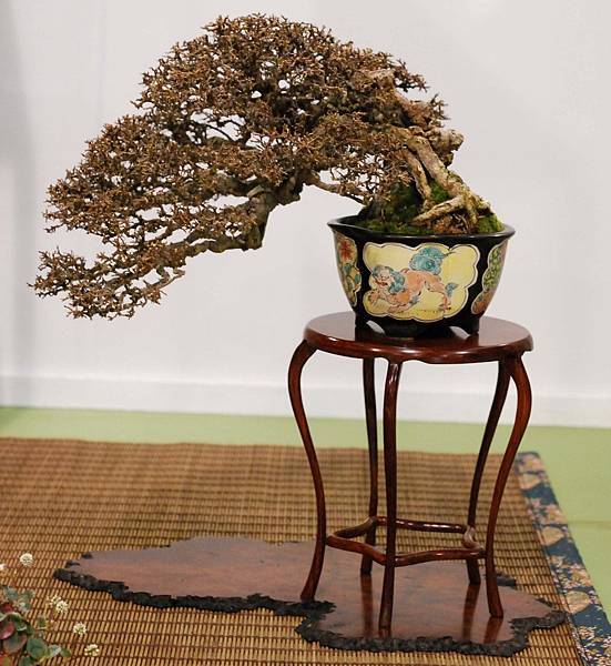 DSC_2960.jpg DSC_2960.jpg