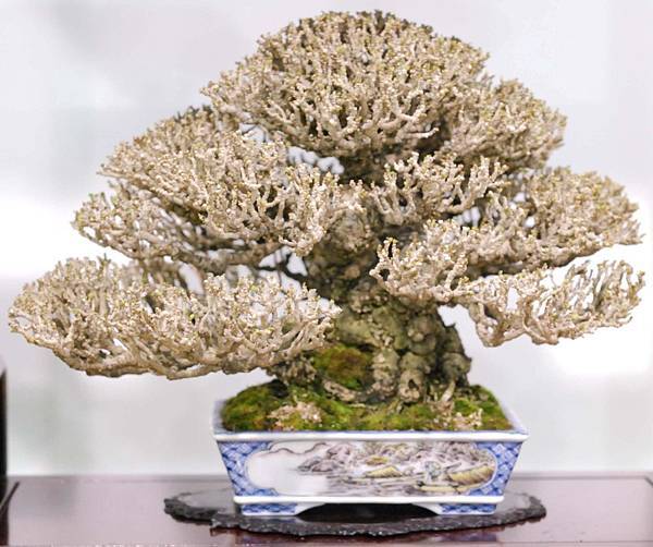 DSC_2958.jpg DSC_2958.jpg