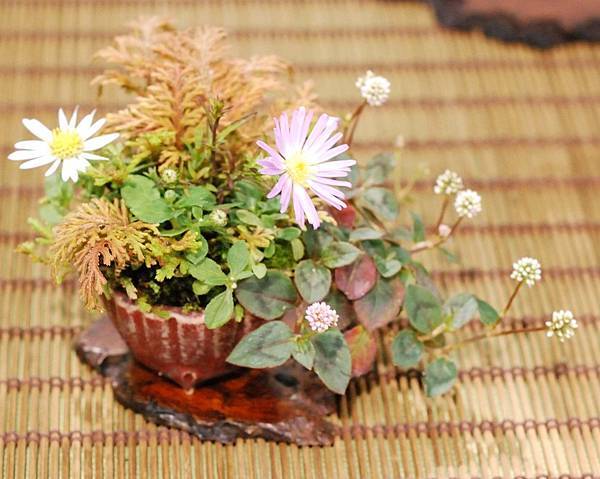 DSC_2961.jpg DSC_2961.jpg