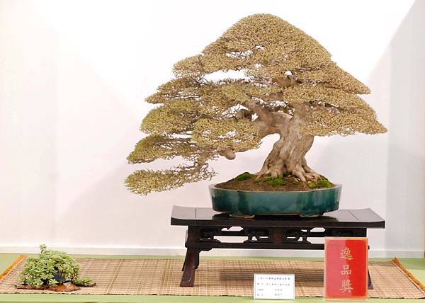 DSC_2962.jpg DSC_2962.jpg