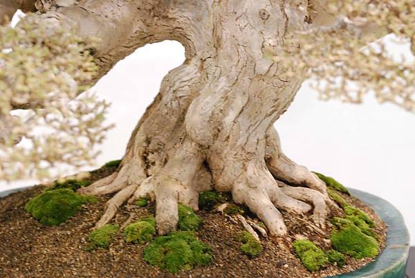 DSC_2963.jpg DSC_2963.jpg