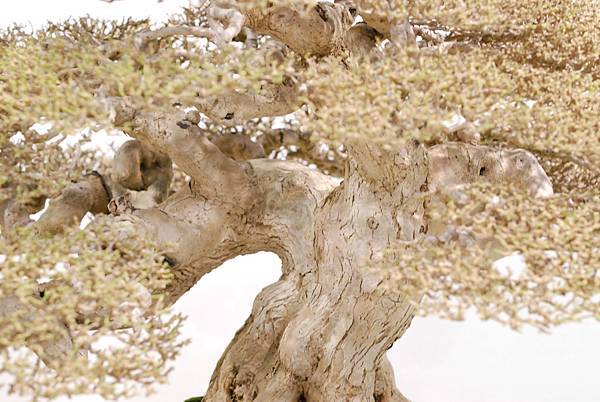 DSC_2964.jpg DSC_2964.jpg