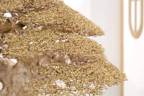 DSC_2967.jpg DSC_2967.jpg