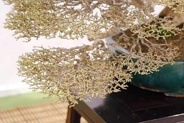 DSC_2968.jpg DSC_2968.jpg