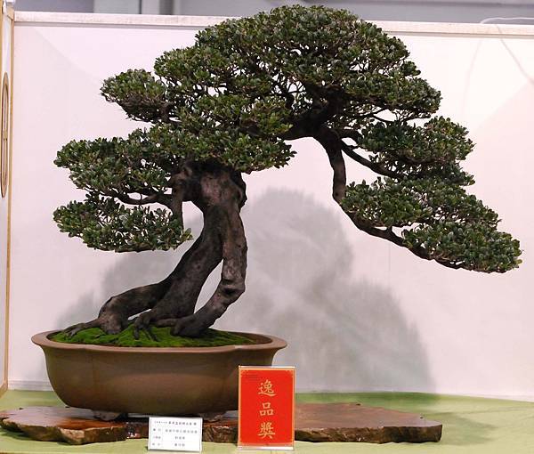 DSC_2970.jpg DSC_2970.jpg