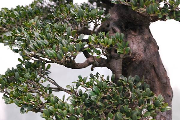 DSC_2975.jpg DSC_2975.jpg