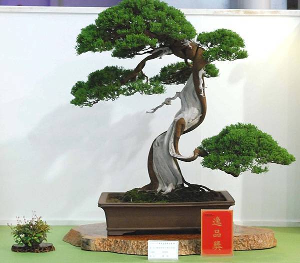 DSC_2984.jpg DSC_2984.jpg