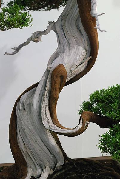 DSC_2986.jpg DSC_2986.jpg