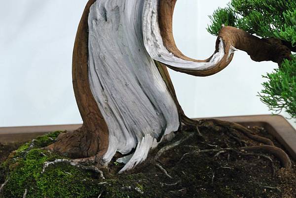 DSC_2985.jpg DSC_2985.jpg