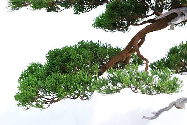 DSC_2988.jpg DSC_2988.jpg