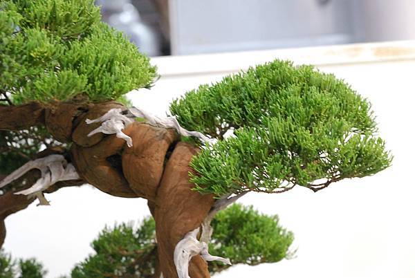 DSC_2990.jpg DSC_2990.jpg