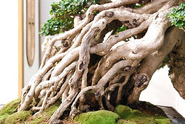 DSC_2992.jpg DSC_2992.jpg