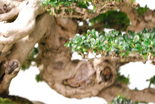 DSC_2995.jpg DSC_2995.jpg