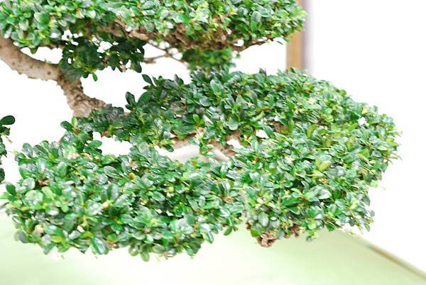 DSC_2997.jpg DSC_2997.jpg