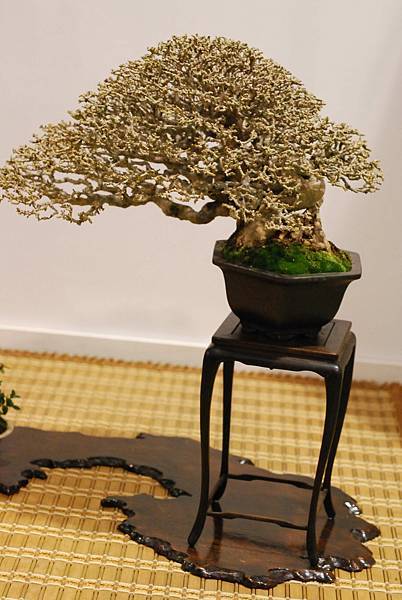 DSC_3002.jpg DSC_3002.jpg