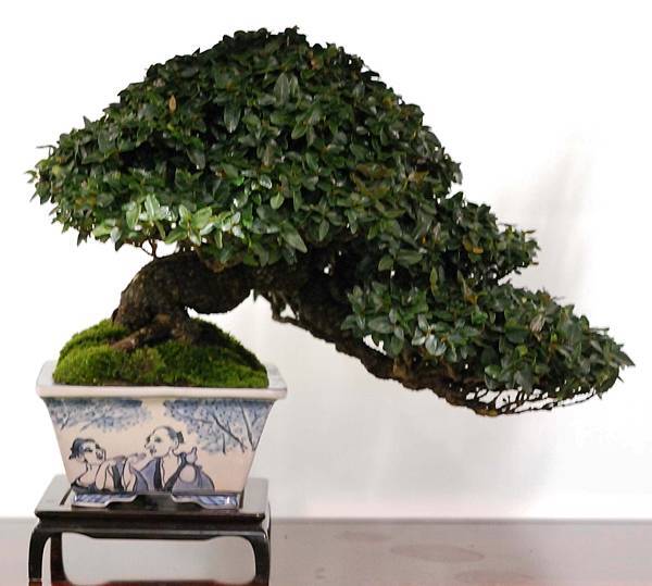 DSC_3004.jpg DSC_3004.jpg