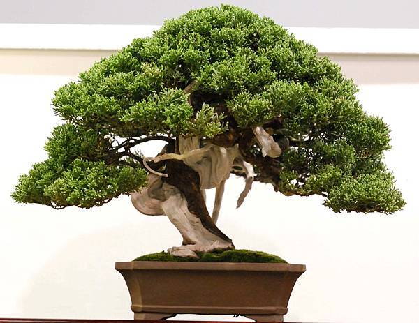 DSC_3003.jpg DSC_3003.jpg