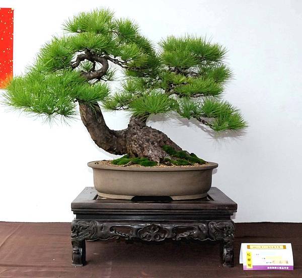 DSC_6532.jpg DSC_6532.jpg