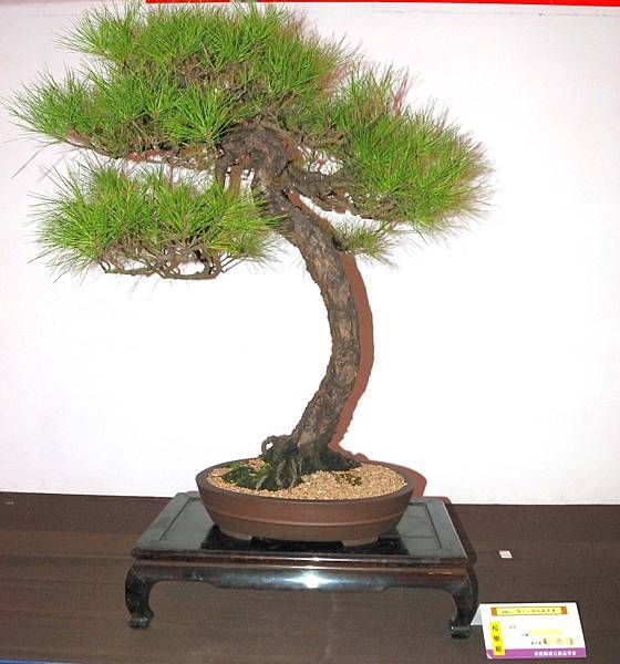 DSC_6541.jpg DSC_6541.jpg