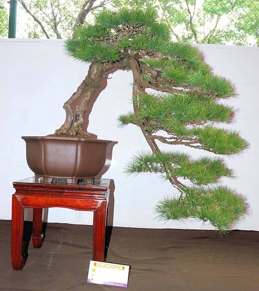 DSC_6545.jpg DSC_6545.jpg