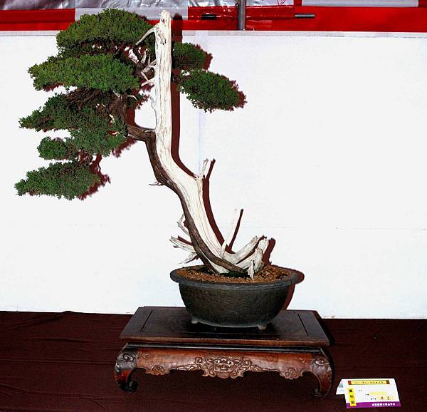 DSC_6568.jpg DSC_6568.jpg