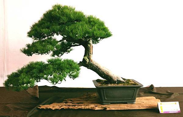 DSC_6570.jpg DSC_6570.jpg