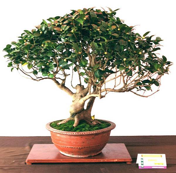 DSC_6574.jpg DSC_6574.jpg