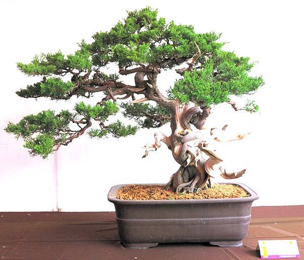 DSC_6578.jpg DSC_6578.jpg