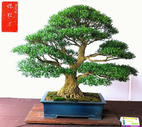 DSC_6584.jpg DSC_6584.jpg