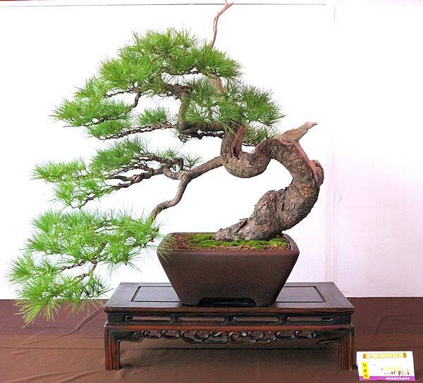 DSC_6587.jpg DSC_6587.jpg