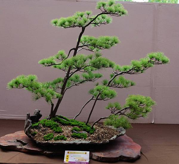 DSC_6607.jpg DSC_6607.jpg