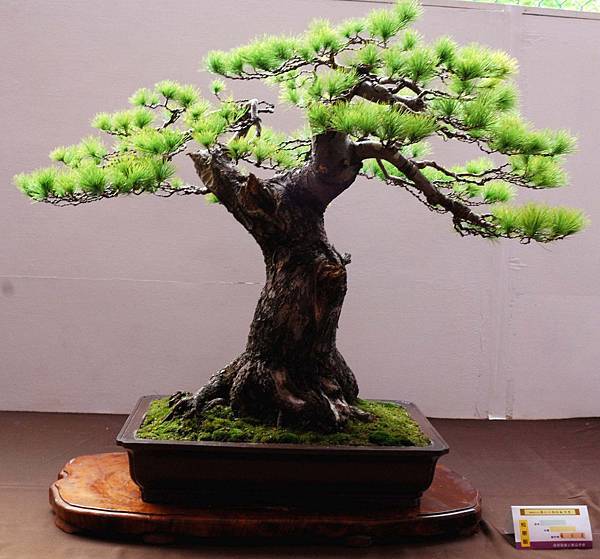 DSC_6609.jpg DSC_6609.jpg