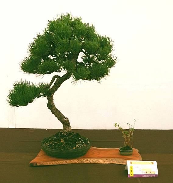 DSC_6614.jpg DSC_6614.jpg