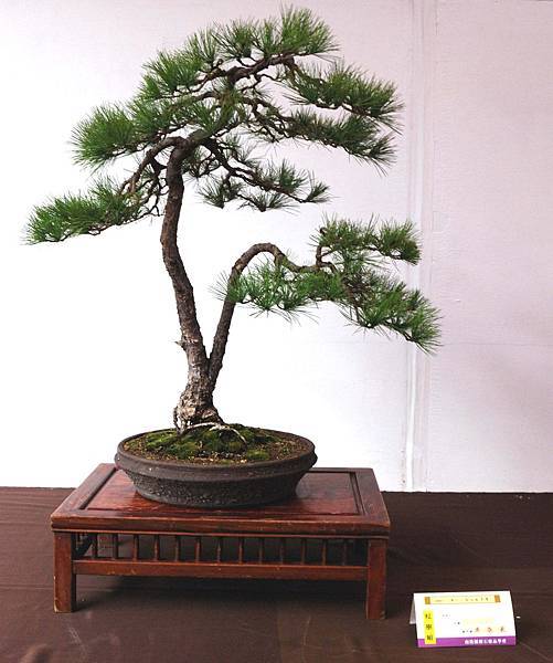 DSC_6623.jpg DSC_6623.jpg