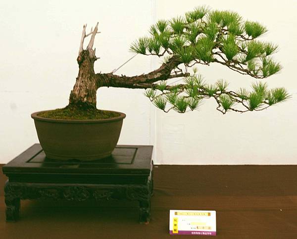 DSC_6618.jpg DSC_6618.jpg