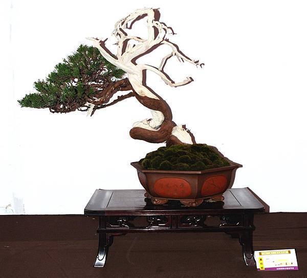 DSC_6622.jpg DSC_6622.jpg