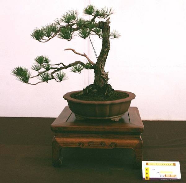 DSC_6626.jpg DSC_6626.jpg