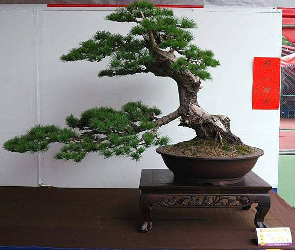 DSC_6635.jpg DSC_6635.jpg